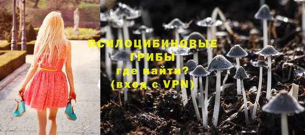твердый Осташков