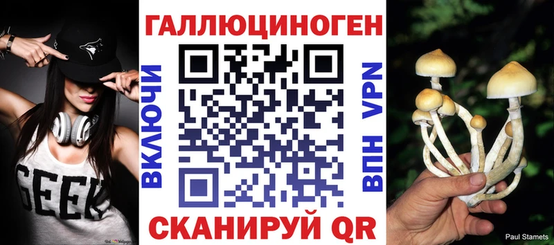 Псилоцибиновые грибы Psilocybe  где найти   Владивосток 